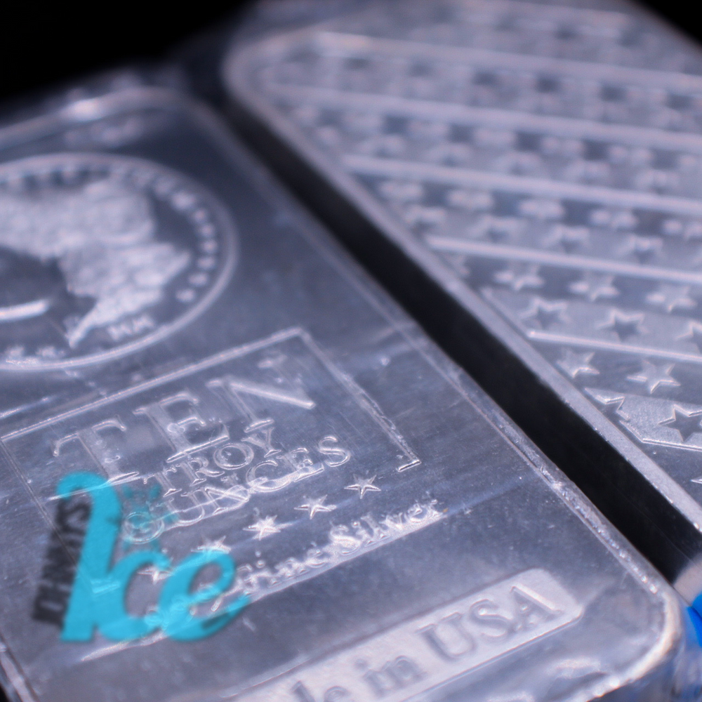 
                      
                        10 Troy Ounce Silver Bar
                      
                    